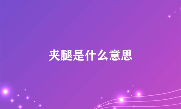 夹腿是什么意思