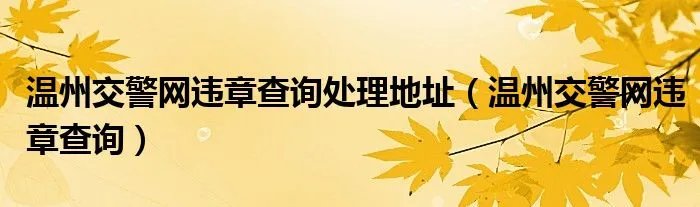 温州交警网违章查询处理地址（温州交警网违章查询）