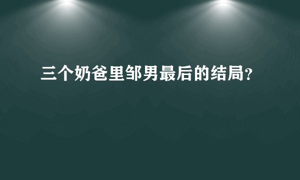 三个奶爸里邹男最后的结局？