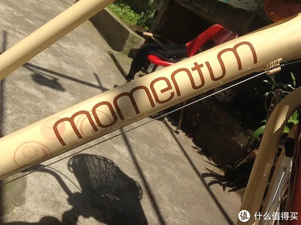 #本站首晒# 真正的买菜车!GIANT 捷安特 MOMENTUM 七速女式休闲自行车