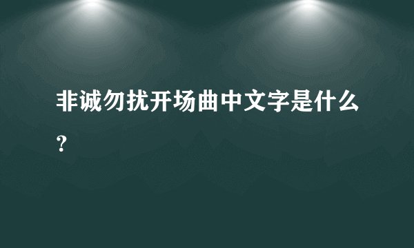 非诚勿扰开场曲中文字是什么？