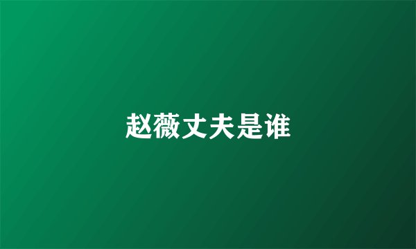 赵薇丈夫是谁