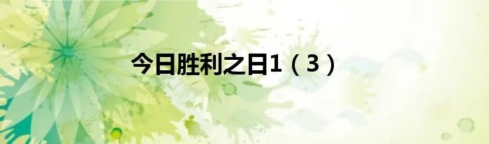 今日胜利之日1（3）