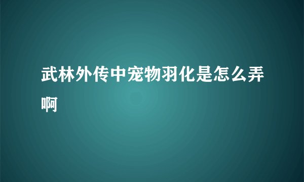 武林外传中宠物羽化是怎么弄啊