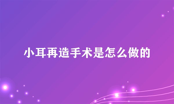 小耳再造手术是怎么做的