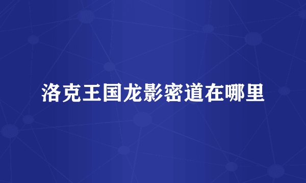 洛克王国龙影密道在哪里