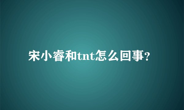 宋小睿和tnt怎么回事？
