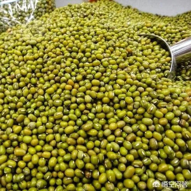 夏天喝什么饮料好？