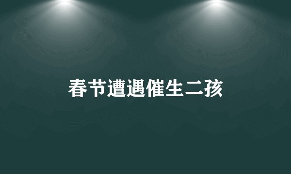 春节遭遇催生二孩