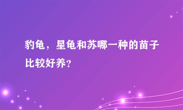 豹龟，星龟和苏哪一种的苗子比较好养？