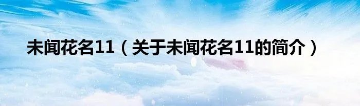 未闻花名11（关于未闻花名11的简介）