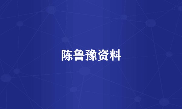 陈鲁豫资料