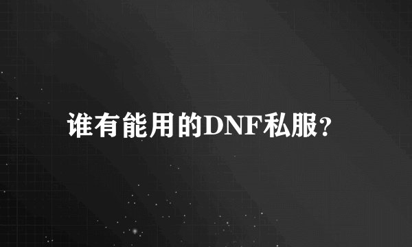 谁有能用的DNF私服？