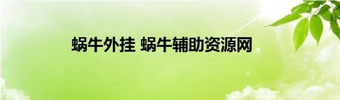 蜗牛外挂 蜗牛辅助资源网