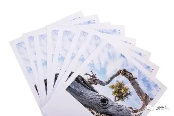 照片冲印:3种主流冲印照片方式测评