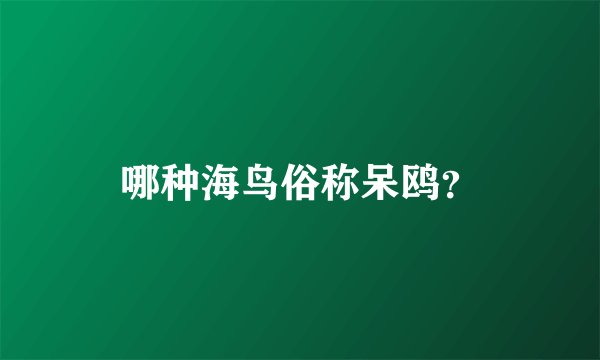 哪种海鸟俗称呆鸥？