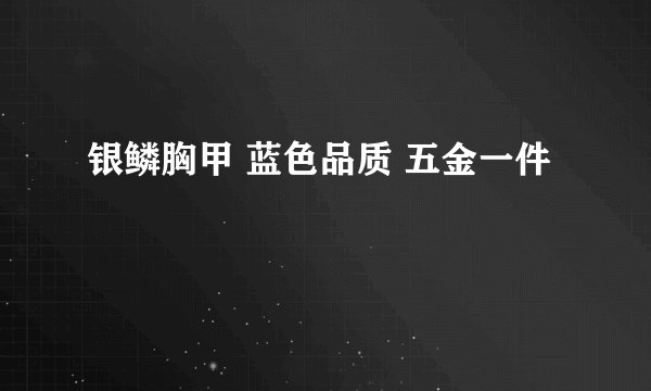 银鳞胸甲 蓝色品质 五金一件