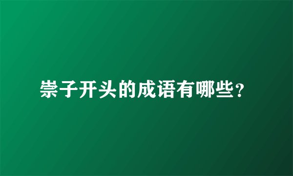 崇子开头的成语有哪些？