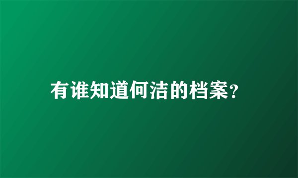 有谁知道何洁的档案？