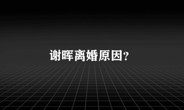谢晖离婚原因？