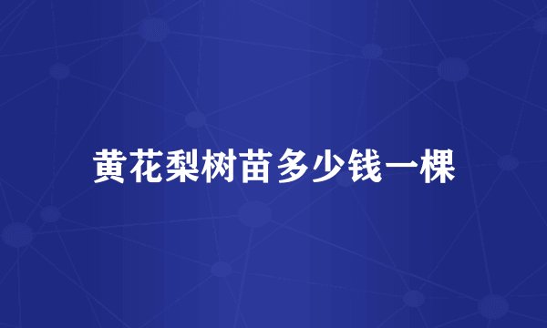 黄花梨树苗多少钱一棵