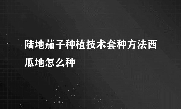 陆地茄子种植技术套种方法西瓜地怎么种
