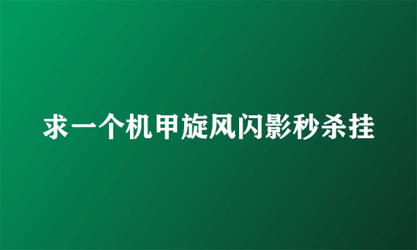 求一个机甲旋风闪影秒杀挂