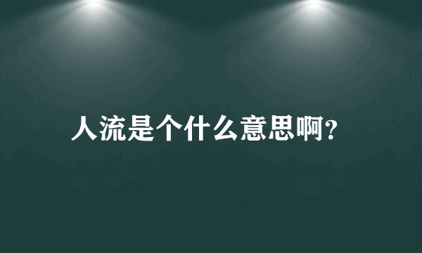 人流是个什么意思啊？