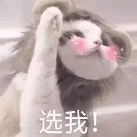 硬核!护士长粗心毁厨房,仅有吊顶幸存, 吊顶一抹还原如新