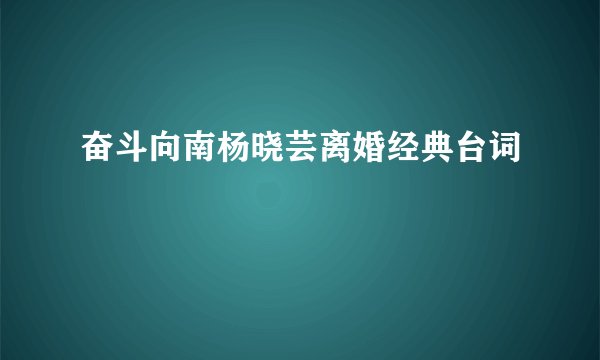 奋斗向南杨晓芸离婚经典台词
