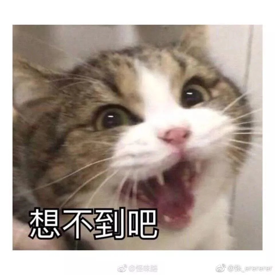 硬核！护士长粗心毁厨房，仅有吊顶幸存， 吊顶一抹还原如新