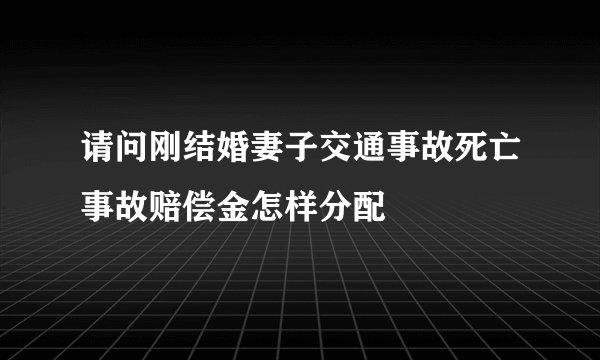 请问刚结婚妻子交通事故死亡事故赔偿金怎样分配