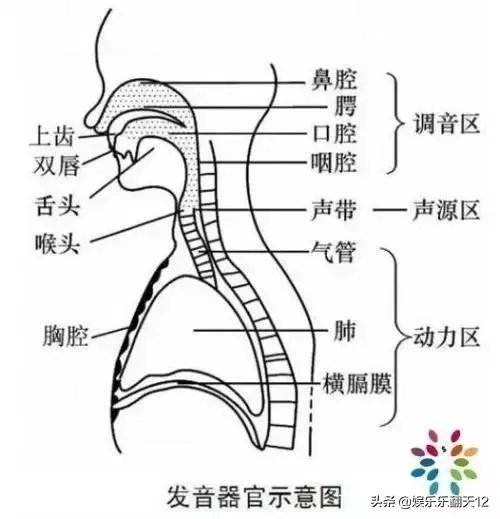 怎么样唱好歌?