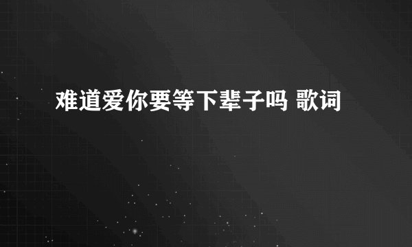 难道爱你要等下辈子吗 歌词