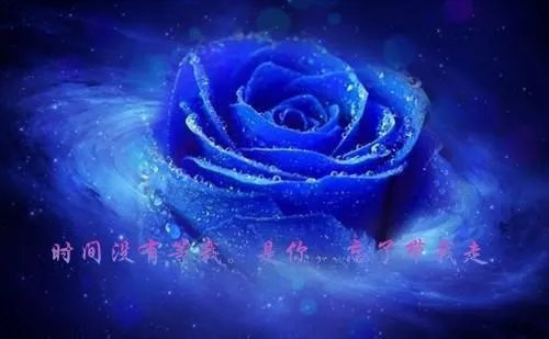 玩世不恭的网名