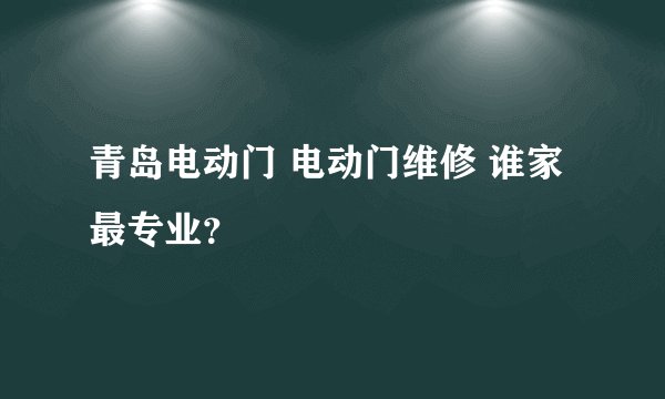 青岛电动门 电动门维修 谁家最专业？