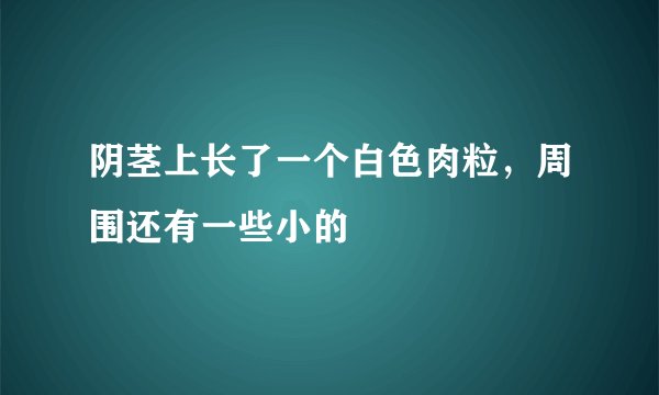 阴茎上长了一个白色肉粒，周围还有一些小的