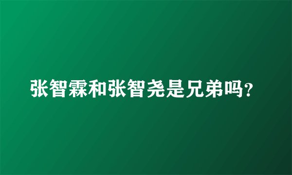 张智霖和张智尧是兄弟吗？