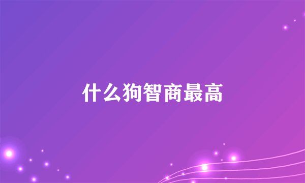 什么狗智商最高