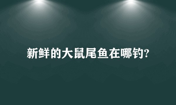 新鲜的大鼠尾鱼在哪钓?
