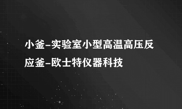 小釜-实验室小型高温高压反应釜-欧士特仪器科技
