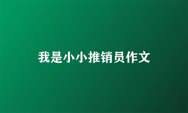 我是小小推销员作文