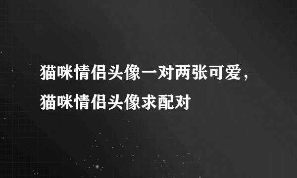 猫咪情侣头像一对两张可爱，猫咪情侣头像求配对