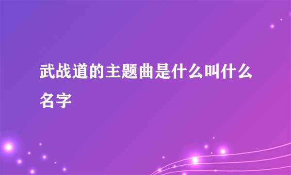 武战道的主题曲是什么叫什么名字