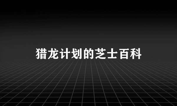 猎龙计划的芝士百科