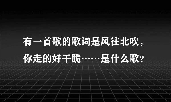 有一首歌的歌词是风往北吹，你走的好干脆……是什么歌？