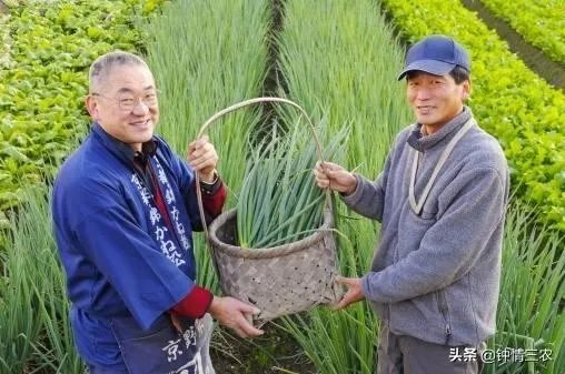 农村老人六十多岁了还在工地上打工正常吗?