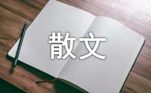 孤独的爱人散文