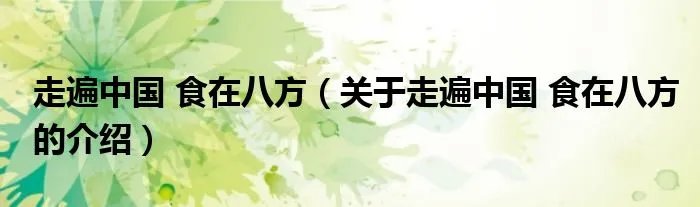 走遍中国 食在八方（关于走遍中国 食在八方的介绍）