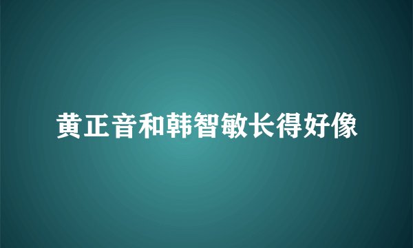 黄正音和韩智敏长得好像